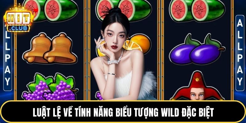 Luật lệ về tính năng biểu tượng Wild đặc biệt